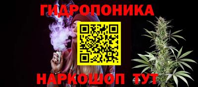 скорость Обь